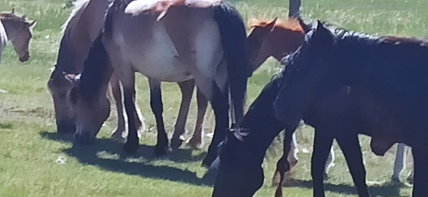 赤峰市宏奧物流客服電話號碼-第1張圖片