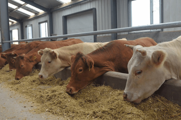 內(nèi)蒙古赤峰市扶貧電話號(hào)碼-第1張圖片