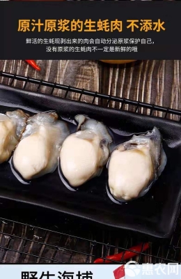 赤峰生蠔凍貨批發(fā)電話(huà)號(hào)碼-第1張圖片