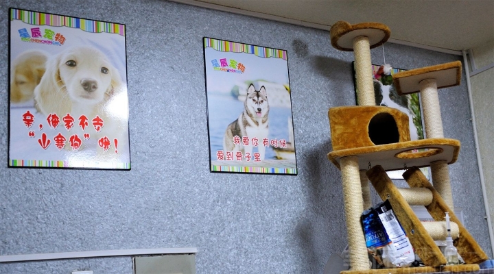 赤峰紅山區(qū)剪發(fā)團(tuán)購電話號(hào)碼-第1張圖片