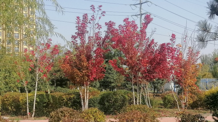 赤峰平莊韓振生診所電話號(hào)碼-第1張圖片