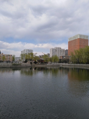 赤峰三橋四路社區(qū)電話號(hào)碼-第1張圖片