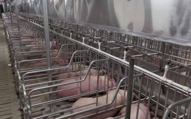 赤峰市牧原農(nóng)牧公司電話號(hào)碼-第1張圖片