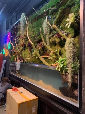 赤峰萬(wàn)達(dá)泰國(guó)奶茶店電話(huà)號(hào)碼-第1張圖片