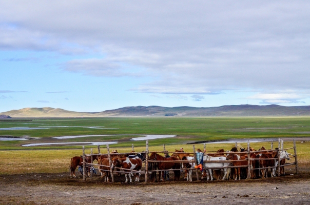 赤峰魔豆童裝店電話(huà)地址查詢(xún)-第1張圖片