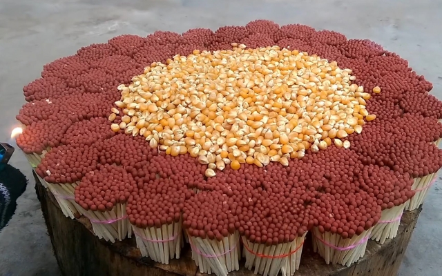 赤峰市燒火柴批發(fā)電話號(hào)碼-第1張圖片