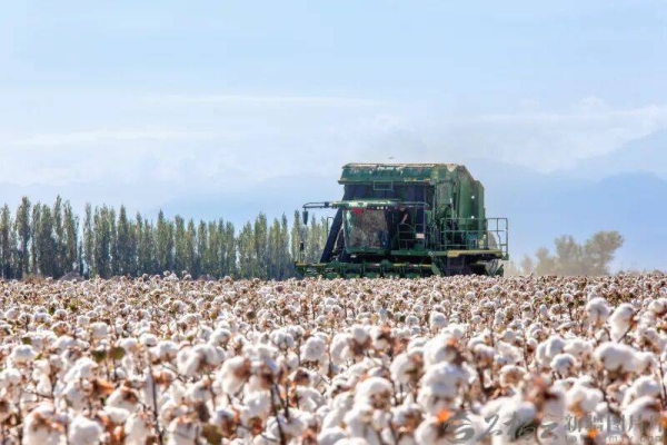 赤峰棉花糖廠地址查詢電話號(hào)碼-第1張圖片