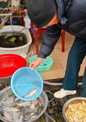 赤峰市早點小攤電話號碼查詢-第1張圖片