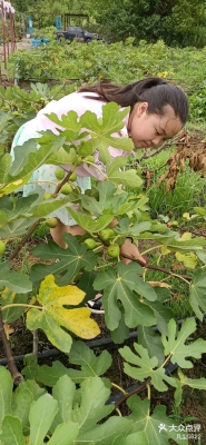 赤峰沃森水果采摘基地電話號碼-第1張圖片