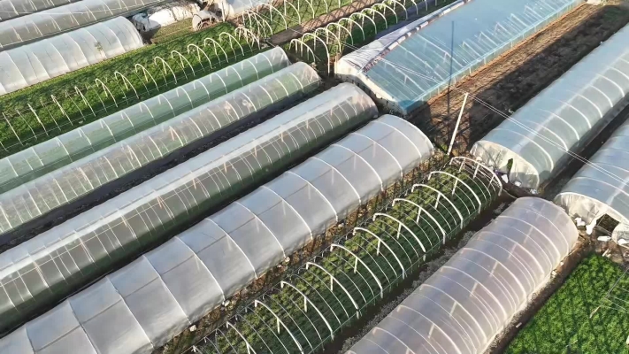 赤峰市蔬菜大棚基地-第1張圖片