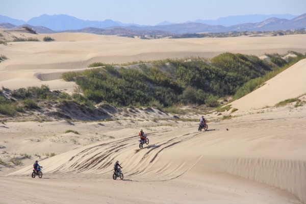 赤峰市競技俱樂部電話號碼查詢-第1張圖片