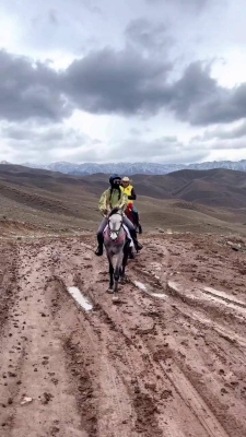 赤峰樂(lè)馭馬術(shù)館電話(huà)多少號(hào)-第1張圖片