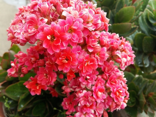 赤峰翁旗門窗修理廠電話號(hào)碼-第1張圖片