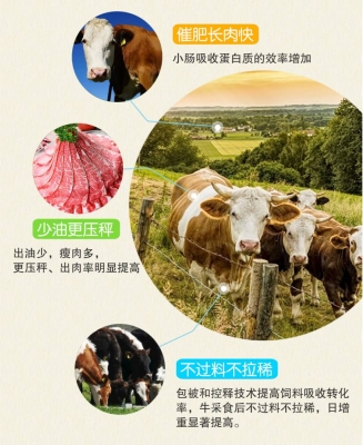 赤峰正大牛羊飼料廠電話號(hào)碼-第1張圖片