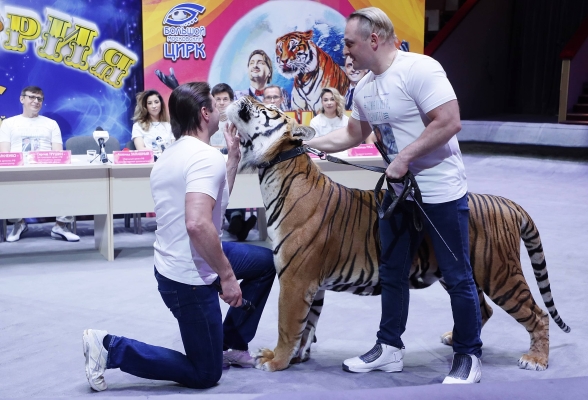 赤峰鐵南大馬戲團電話號碼-第1張圖片