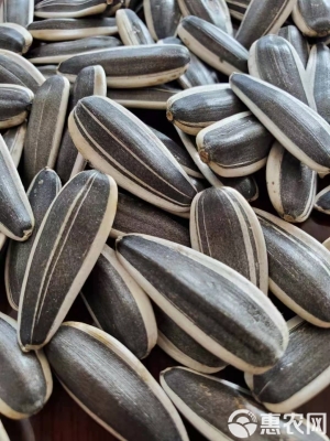 赤峰旺隆批發(fā)市場(chǎng)電話號(hào)碼-第1張圖片