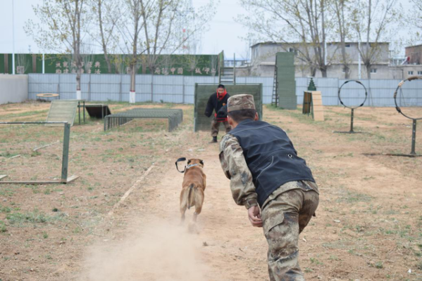 赤峰市軍犬基地電話號碼-第1張圖片