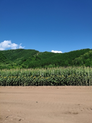 赤峰黑里河酒廠聯系電話號碼-第1張圖片