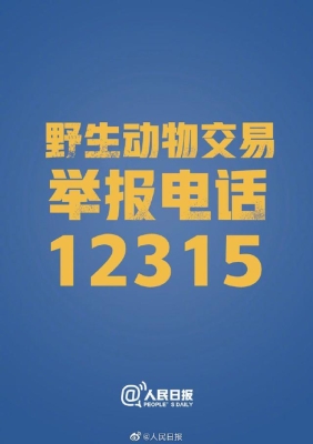 赤峰市招標(biāo)舉報電話是多少-第1張圖片
