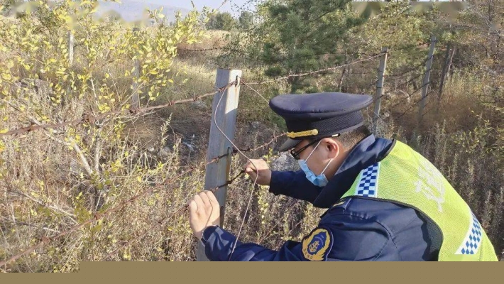 赤峰寵物隔離政策查詢電話號碼-第1張圖片