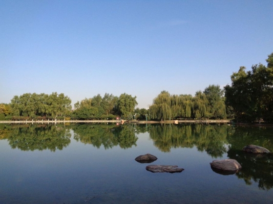 赤峰新城區(qū)蒙奇奇酒店電話號(hào)碼-第1張圖片