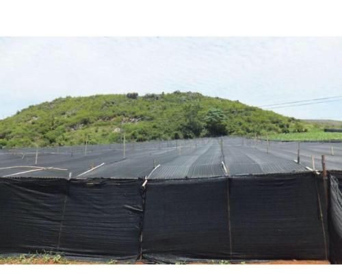 赤峰遮陽網(wǎng)銷售廠家電話號碼-第1張圖片