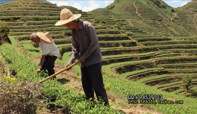 赤峰祥華茶葉店地址電話號碼-第1張圖片