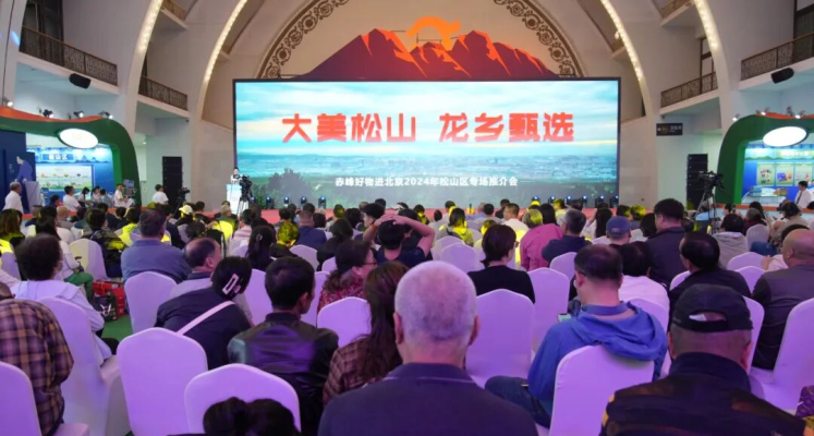 赤峰市松山區(qū)國稅局-第1張圖片