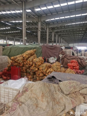 赤峰松木樁批發(fā)市場電話號碼-第1張圖片