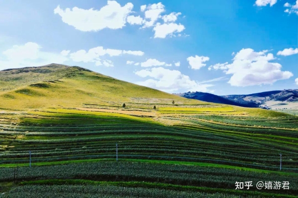 赤峰君尚足浴電話號碼多少號-第1張圖片