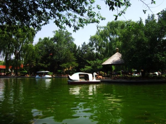 赤峰植物批發(fā)市場電話地址查詢-第1張圖片