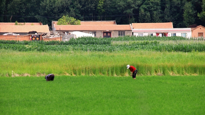 赤峰可心可麗超市電話地址查詢-第1張圖片