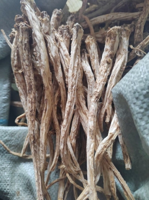 赤峰吃奶魚批發(fā)電話是多少號-第1張圖片