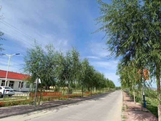 赤峰阿旗餡餅店電話(huà)多少號(hào)-第1張圖片