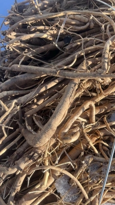 赤峰黃芪加工廠電話號碼查詢-第1張圖片