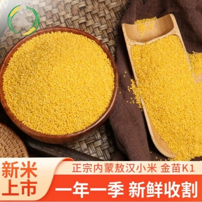 赤峰高信隆小額貸款公司-第1張圖片