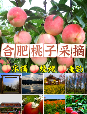 赤峰市桃子采摘園電話地址查詢-第1張圖片