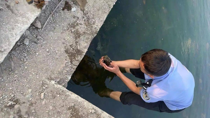 赤峰市拉魚(yú)車租賃電話號(hào)碼-第1張圖片