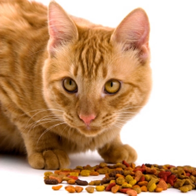 赤峰貓糧加工廠電話地址查詢-第1張圖片