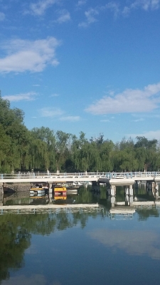 赤峰米村紅山區(qū)社區(qū)電話號(hào)碼-第1張圖片