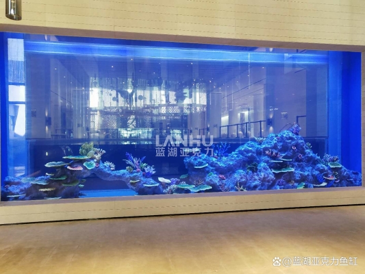 赤峰市海水水族館電話號(hào)碼-第1張圖片