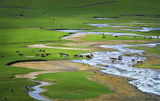 赤峰諾伯洗衣店電話地址查詢-第1張圖片