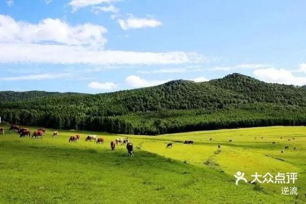 赤峰錦山租電動車電話號碼-第1張圖片