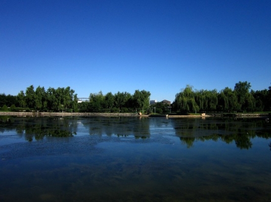 赤峰紅山聚光燈電話號(hào)碼多少-第1張圖片