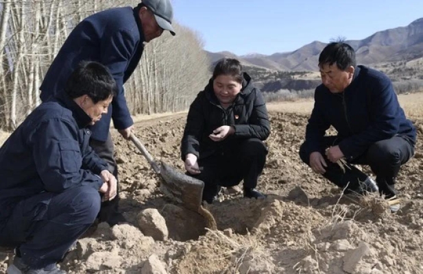 赤峰小廟子垃圾清運(yùn)電話號(hào)碼-第1張圖片