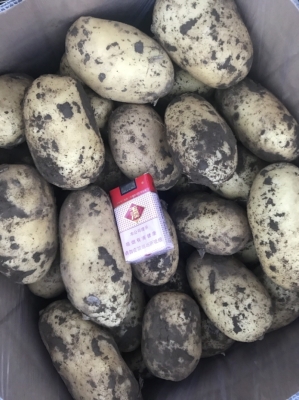 赤峰洗護(hù)批發(fā)市場(chǎng)電話號(hào)碼-第1張圖片