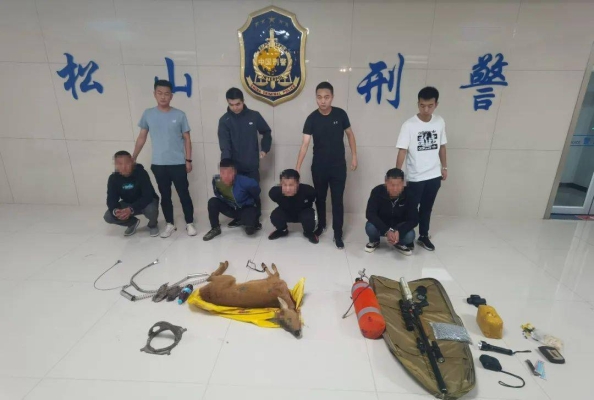 赤峰松山區(qū)司法局電話(huà)號(hào)碼-第1張圖片