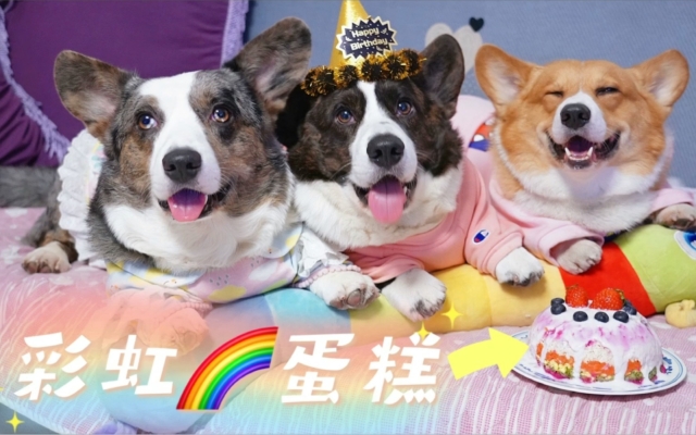 赤峰蛋仔蛋糕店地址電話號碼-第1張圖片