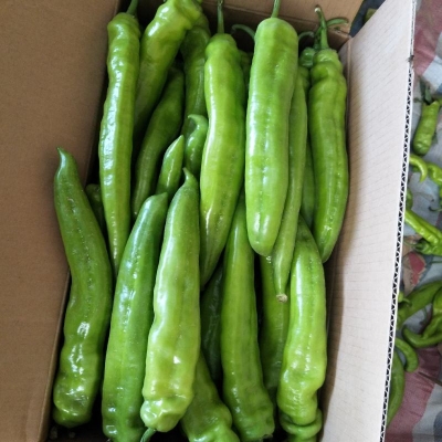 赤峰餐飲蔬菜批發(fā)電話號碼查詢-第1張圖片