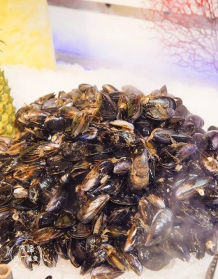 赤峰磊哥海鮮店地址電話號碼-第1張圖片